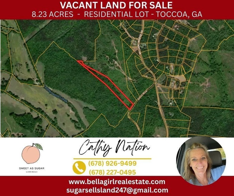 0 Williams Bridge Rd unit 25752991, Toccoa, GA 30577 - photo 1