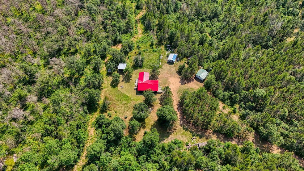Drone / aerial view of a heavily wooded area