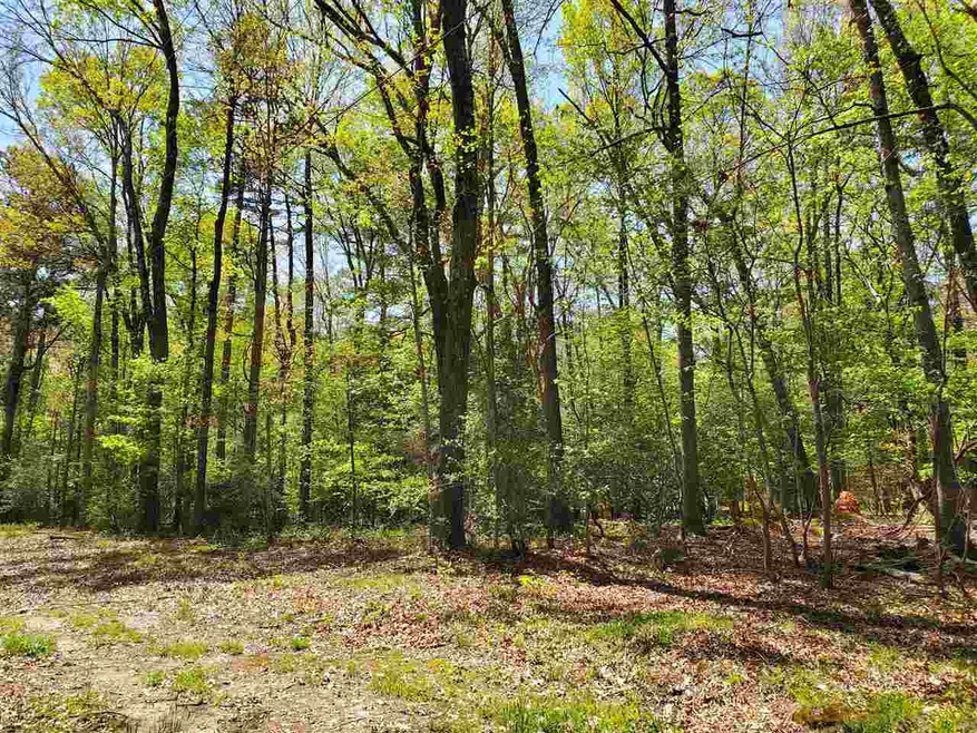 4545 Old Graham Rd, Pittsboro, NC 27312 - photo 1