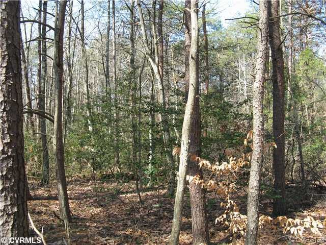 0 Thomas Morris Lane (Pvt ) unit 1321213, Louisa, VA 23117 - photo 1