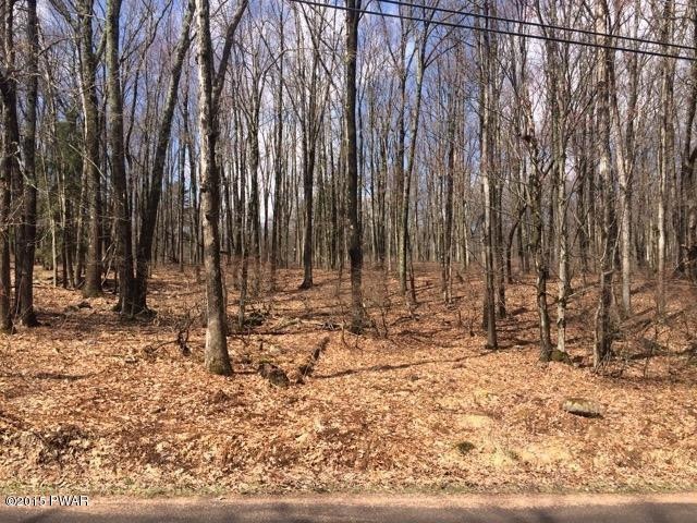 Lot 83 Fawn Lake Dr, Lackawaxen Township, PA 18428 - photo 1