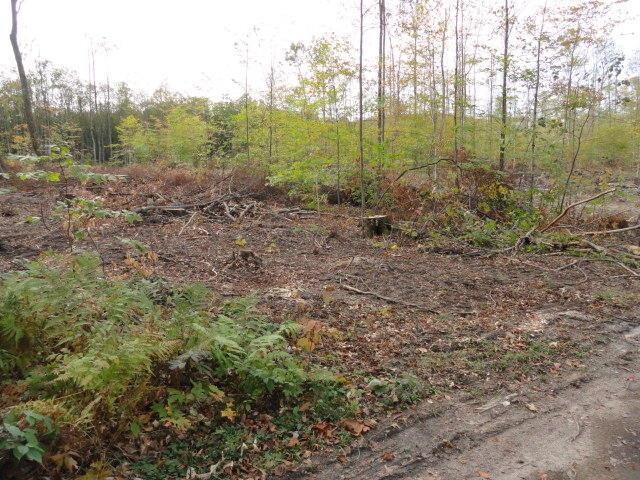 Magee Road 001