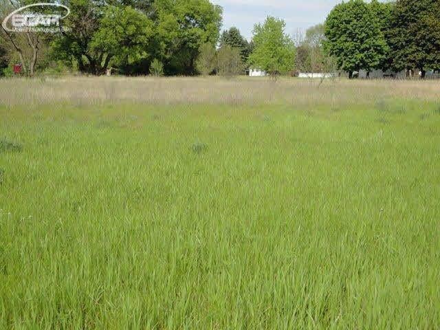 0 W Farrand Rd unit 30046533, Clio, MI 48420 - photo 1
