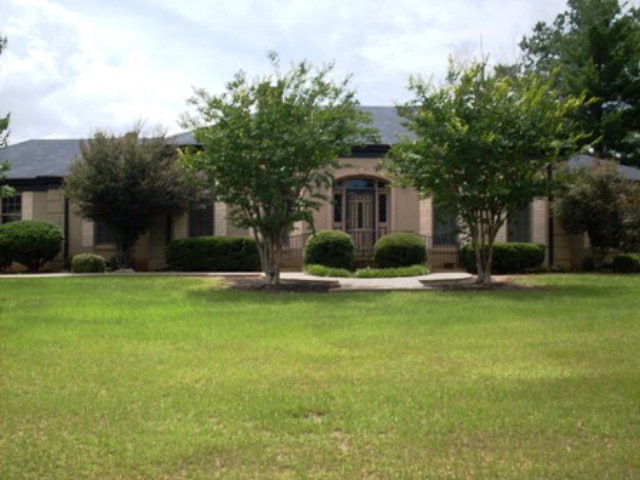 Main View