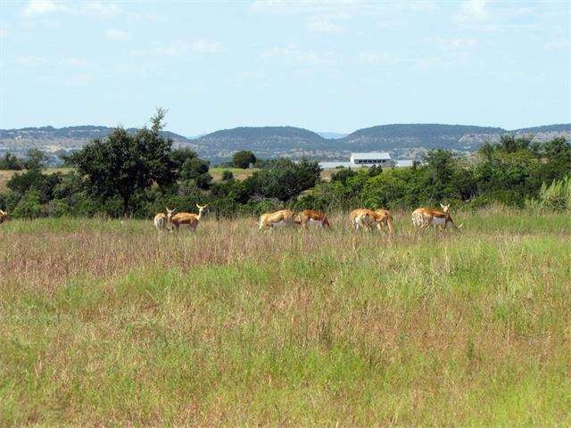See photo 11 on for lot specific photos and topo m