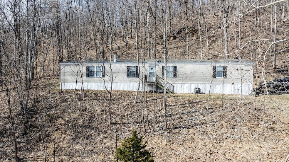 9170 Quicks Run Rd, Vanceburg, KY 41179 - photo 1