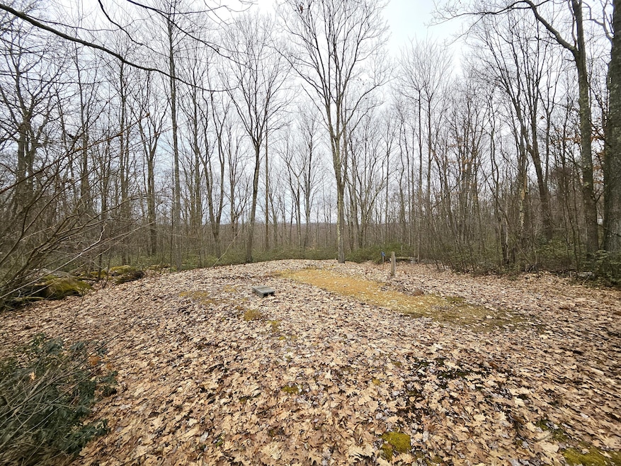 Illinois Ln Tract (30)