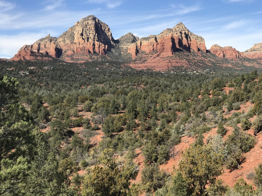Panoramic View