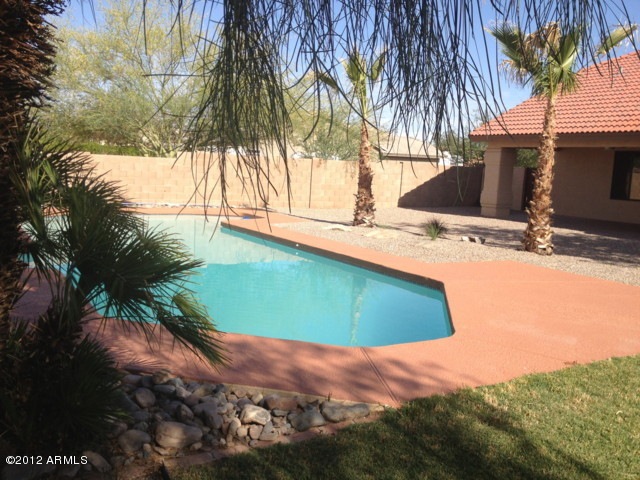 Backyard & Pool