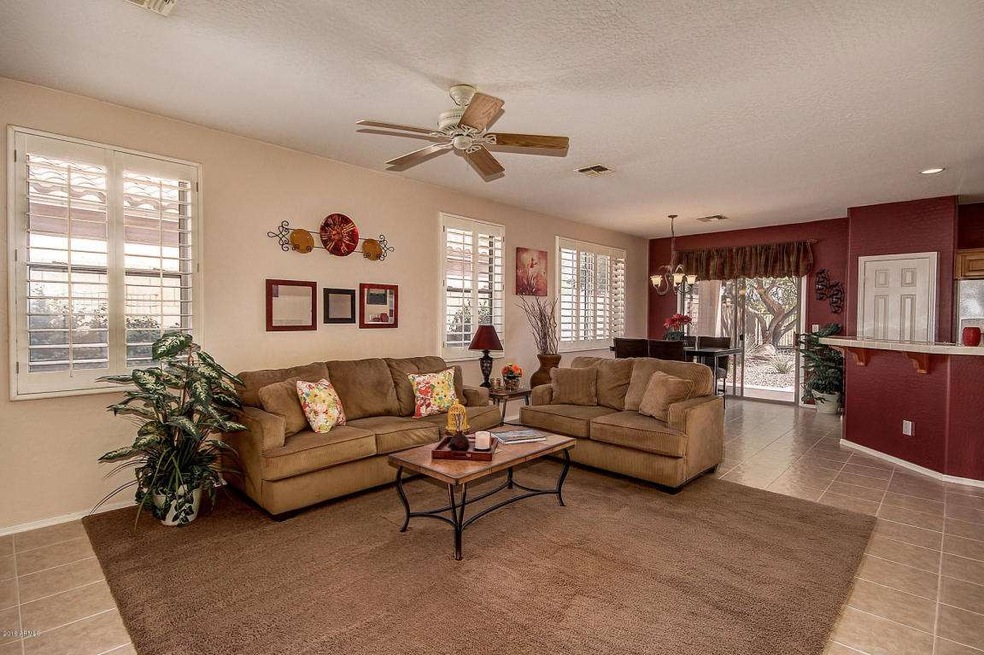 Open Concept and Plantation Shutters