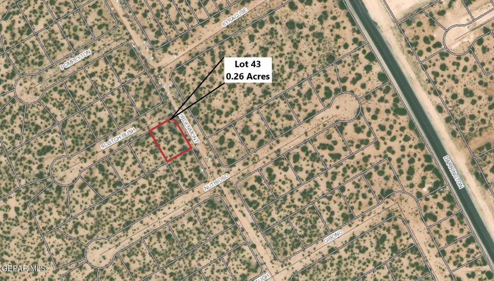 43 Scotch Bush, Horizon City, TX 79928 - photo 1