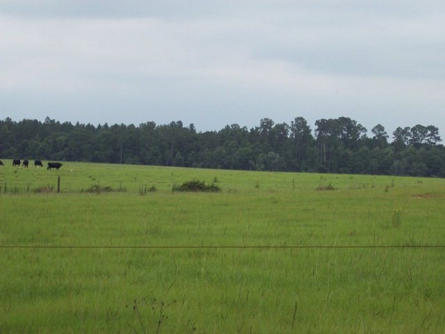 486 Dan Fussell Rd unit n/a, Douglas, GA 31535 - photo 1