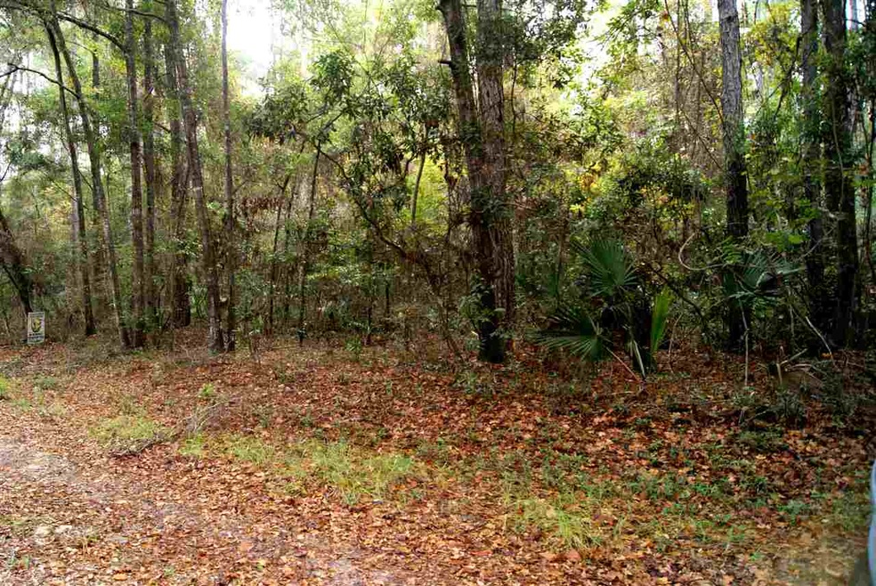 0 Owl Ln unit 1 287430, Wakulla, FL 32327 - photo 1