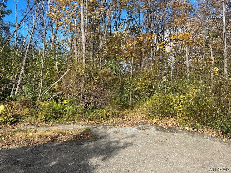 V/L Theodore Ave, Evans, NY 14006 - photo 1