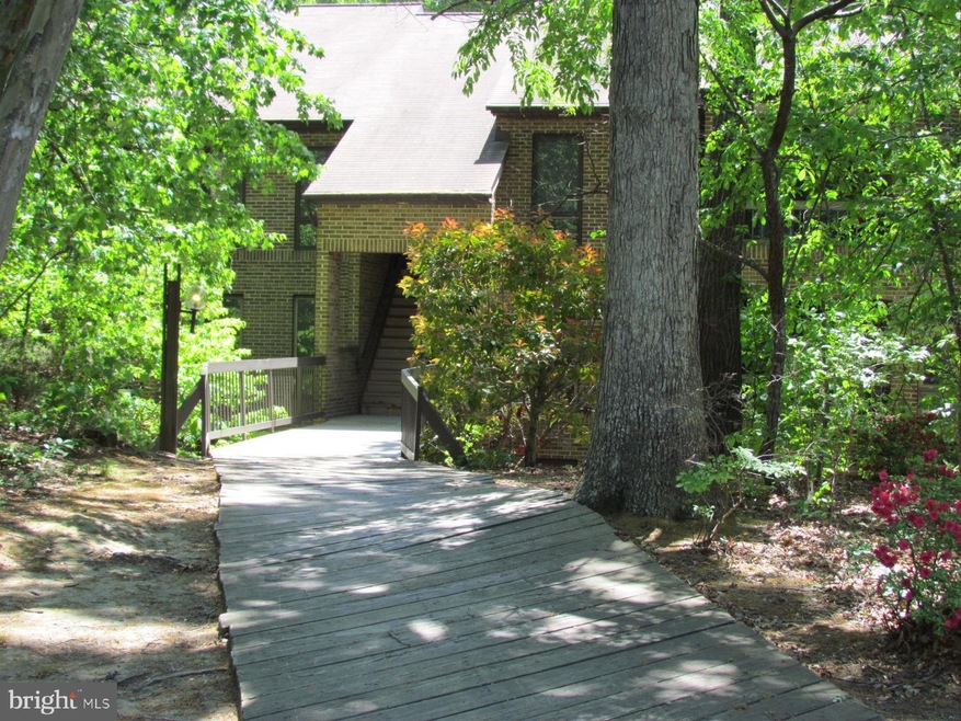 44691 White Oak Ct unit 7A OR 507, California, MD 20619 - photo 1