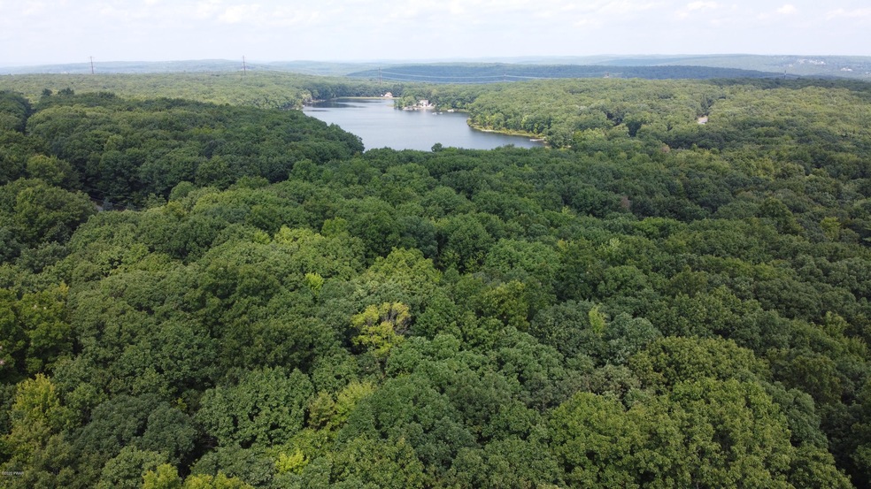 1074 Acacia Dr, Paupack Township, PA 18428 - photo 1