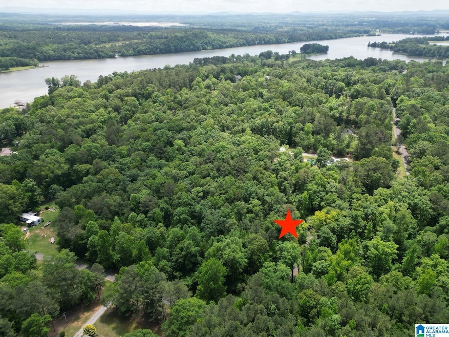 45 Coosa View Ln, Riverside, AL 35135 - photo 1