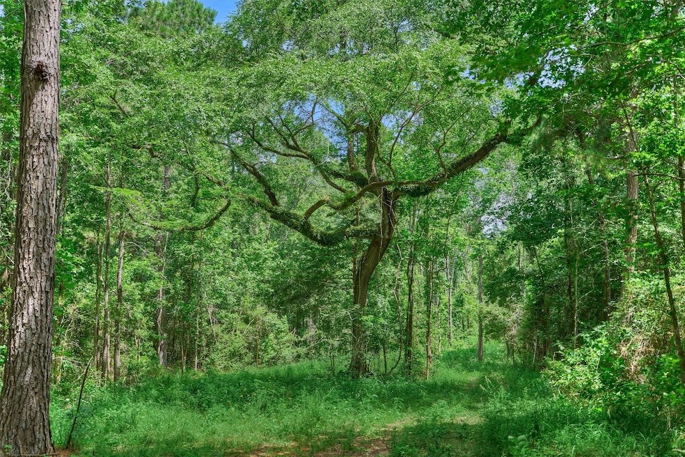 Beautiful trees scattered throughout property