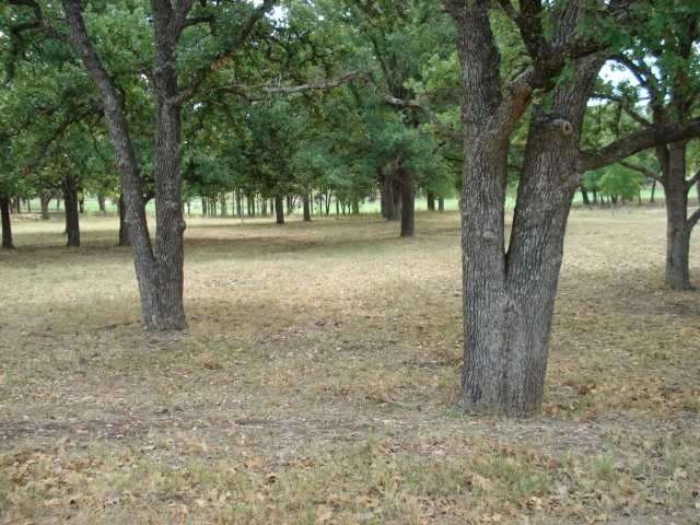 Land