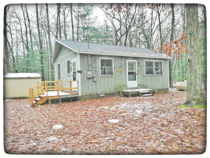 2301 Lincoln St, Bitely, MI 49309 - photo 1