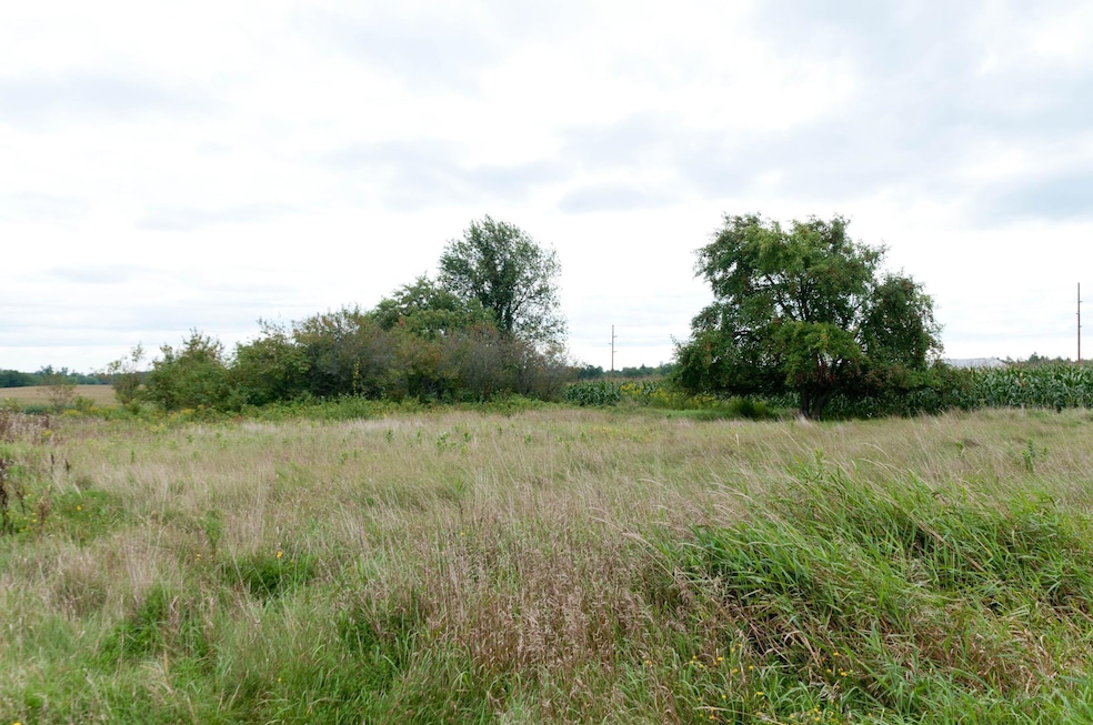 0 Hwy 40, Bruce, WI 54819 - photo 1