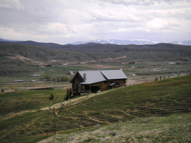 Main View