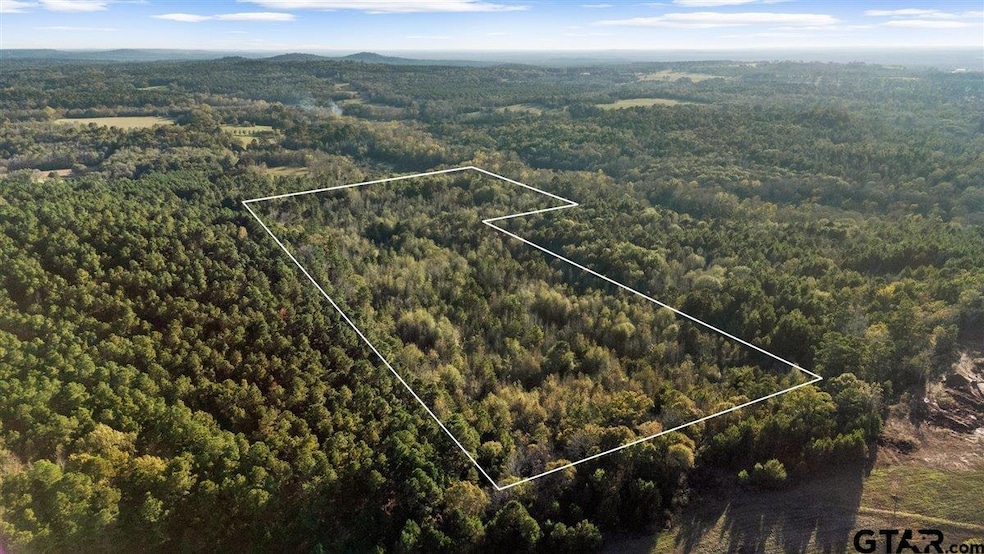 1448 County Road 3310, Jacksonville, TX 75766 - photo 1