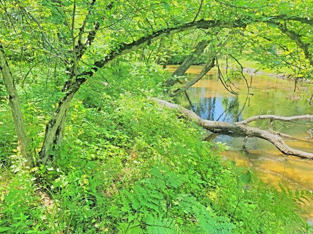 HDR_20220709_132551