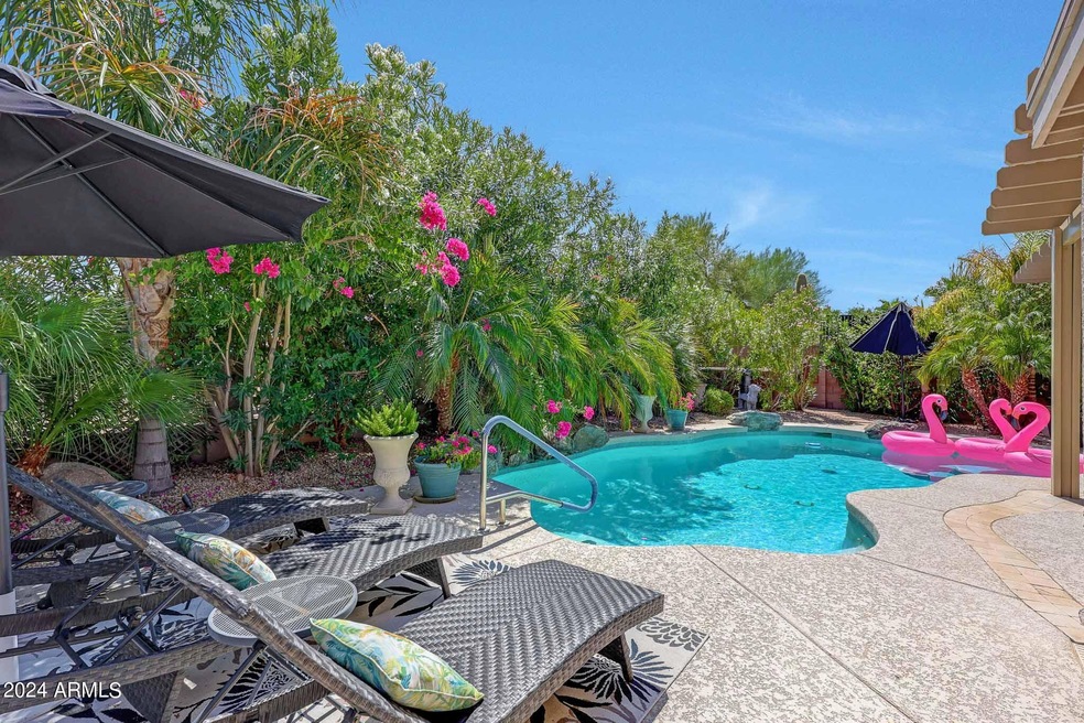 Backyard Oasis