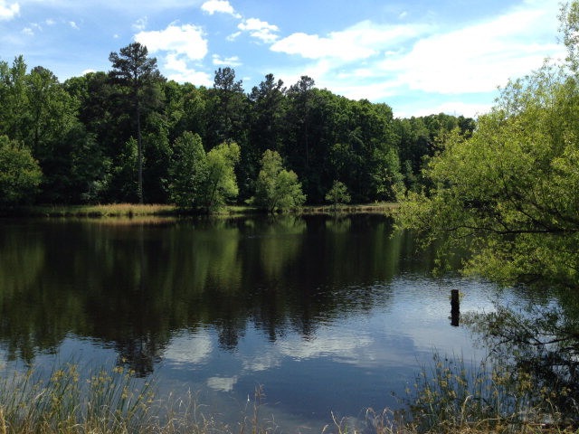 Main View