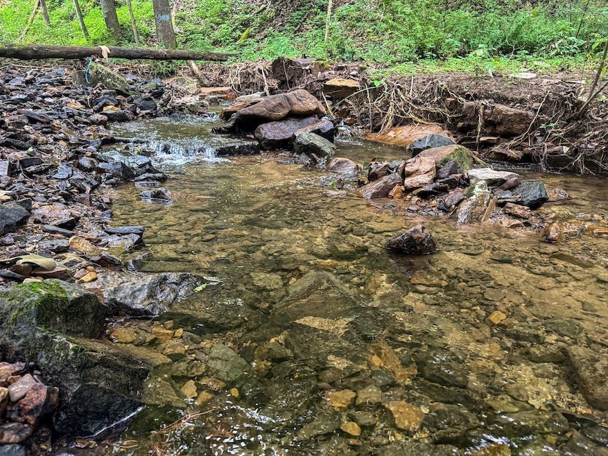 Tbd Laurel Dale Rd, New Creek, WV 26743 - photo 1