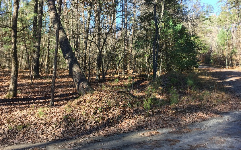 2.4AC Cartecay Cove Ln, Ellijay, GA 30536 - photo 1