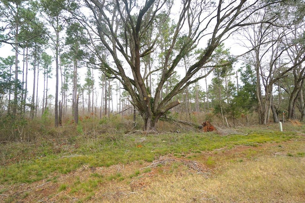000 Gillionville Rd, Albany, GA 31721 - photo 1