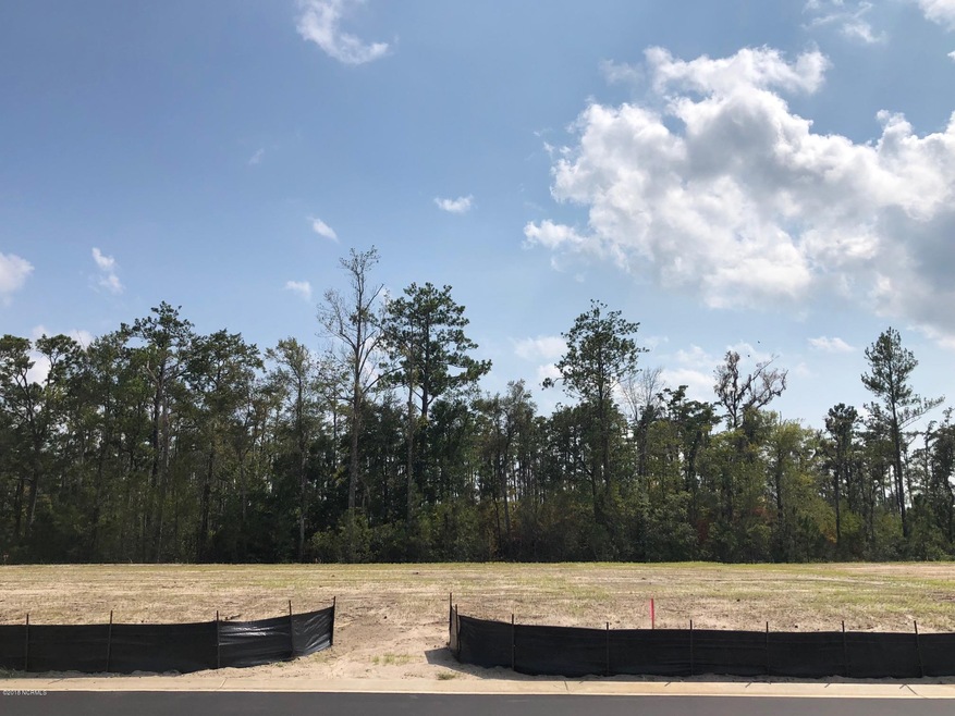 4354 Cushendale Ct, Leland, NC 28451 - photo 1