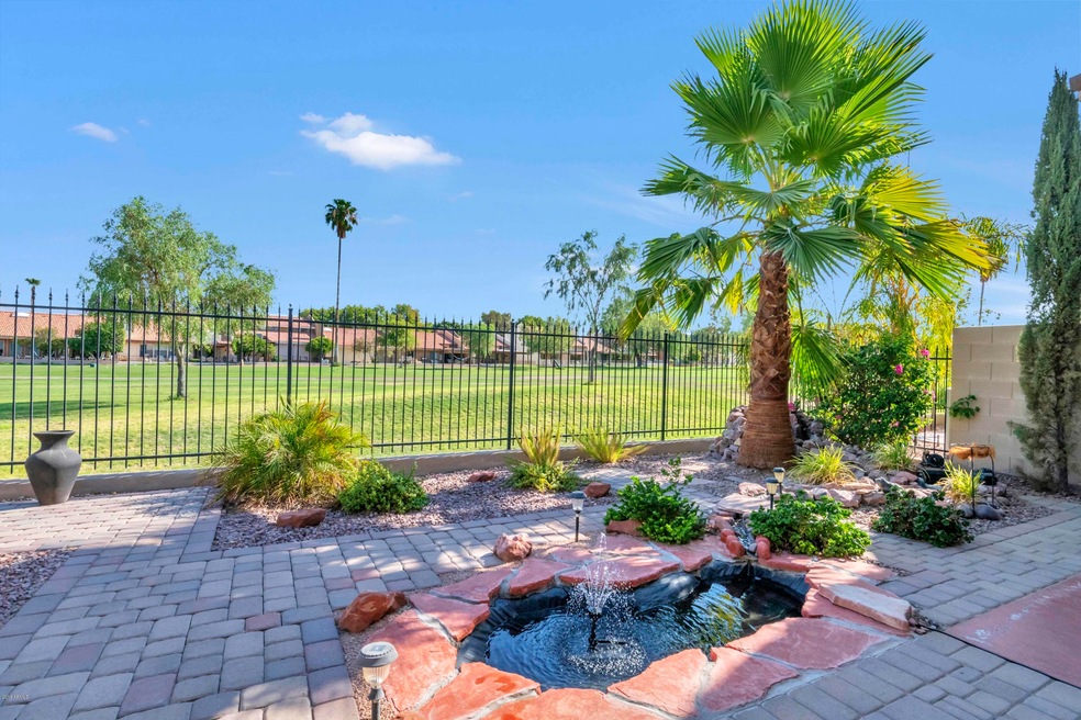 Backyard 4