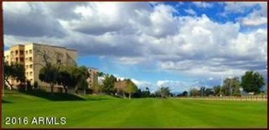 Scottsdale Shadows