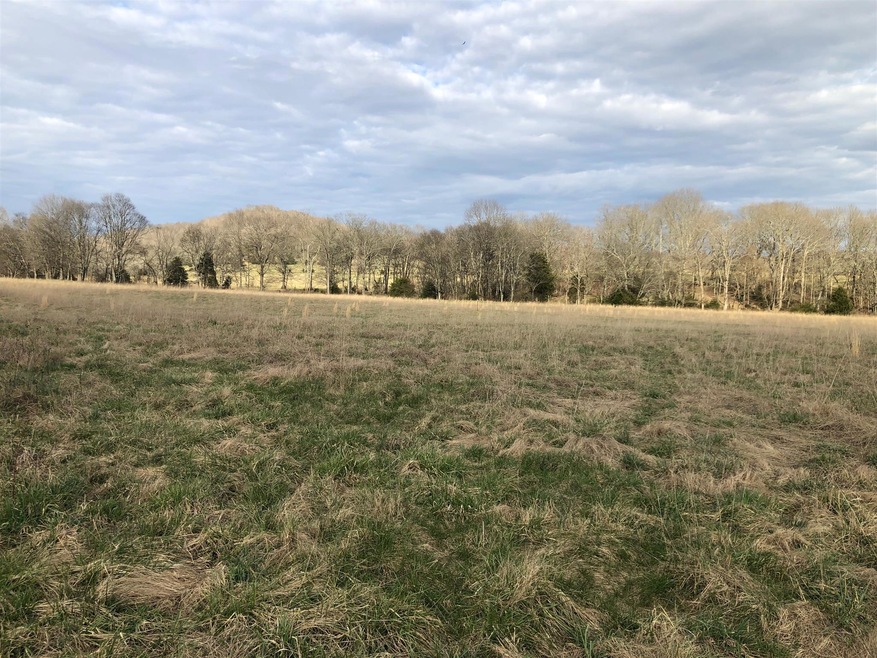 Imagine this view from your porch. 