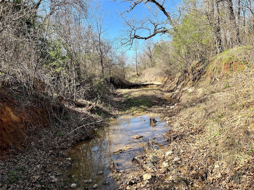 1978 Cain Ln, Weatherford, TX 76088 - photo 1