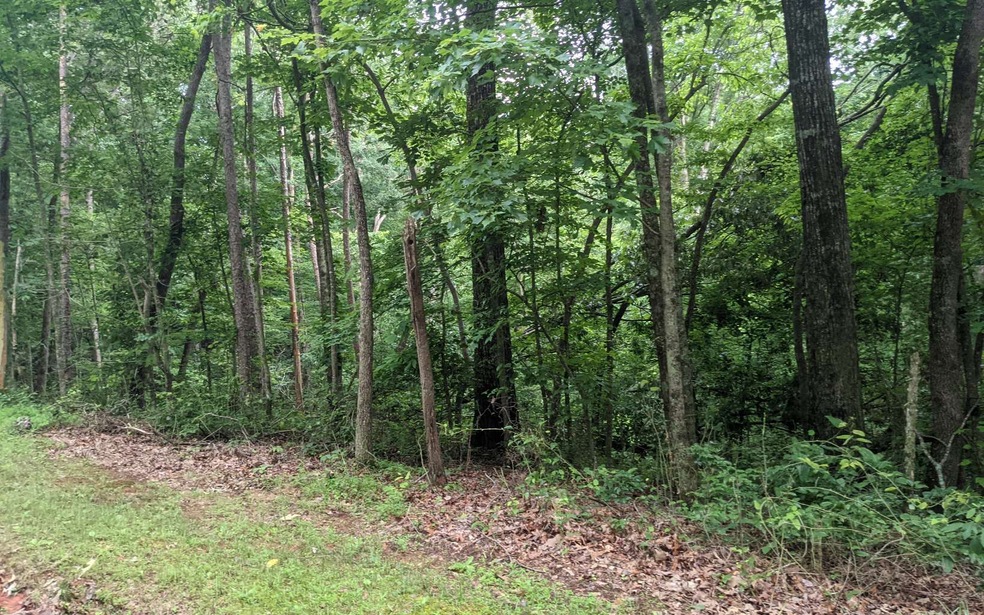 0 Lot 37 Timberwalk Dr unit 307814, Ellijay, GA 30540 - photo 1