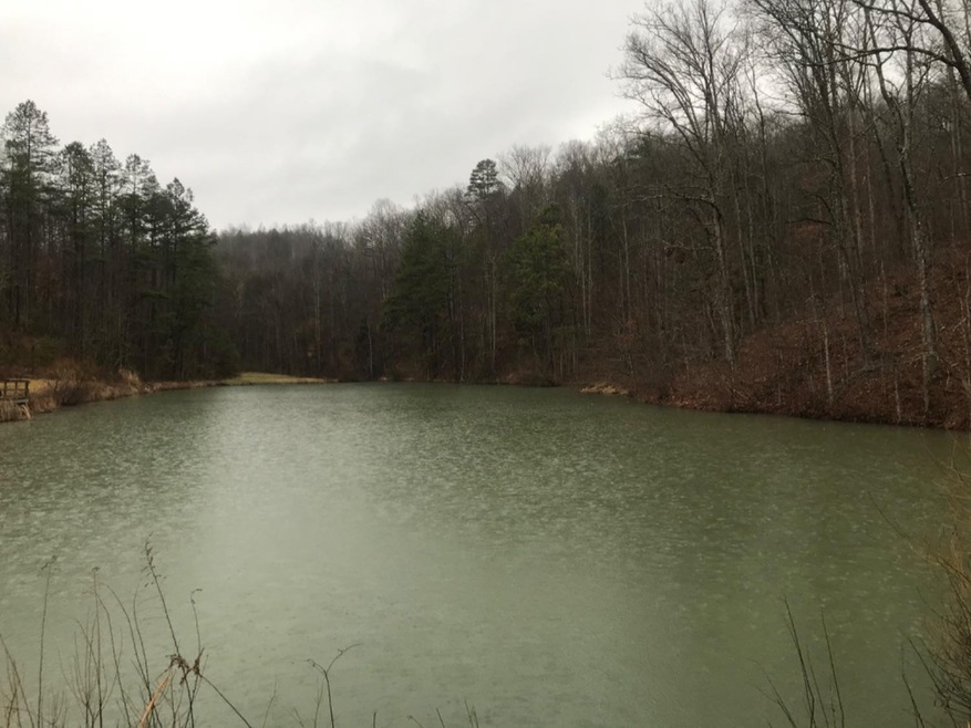 2134 N Ponder Branch Rd, Manchester, KY 40962 - photo 1