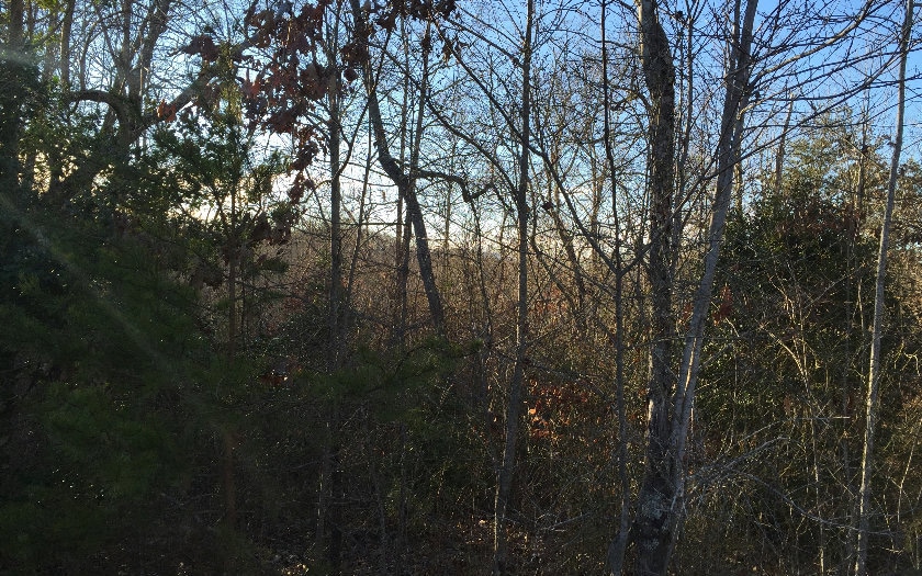 LT 29 Stuart Highlands Dr, Mineral Bluff, GA 30559 - photo 1