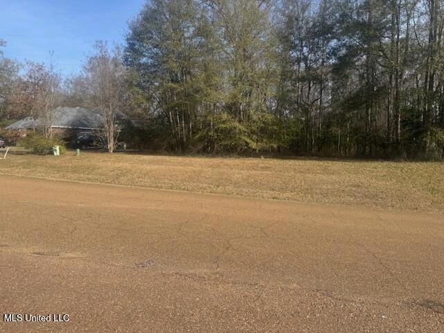 0 Fairway Dr unit 2019001209, Natchez, MS 39120 - photo 1