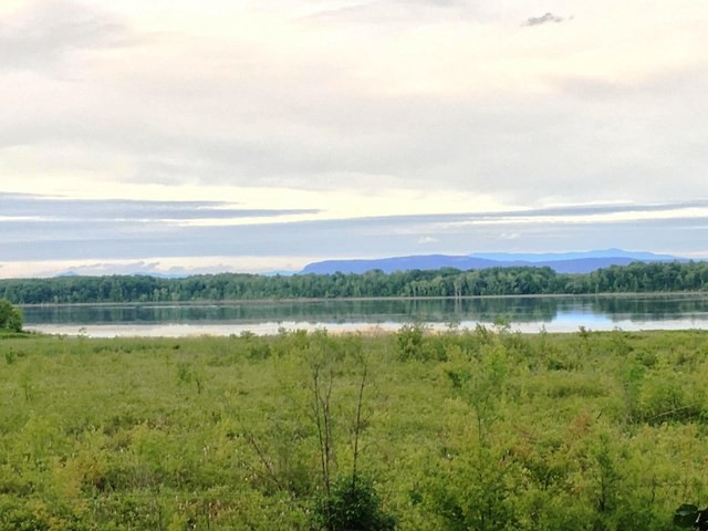 Main View