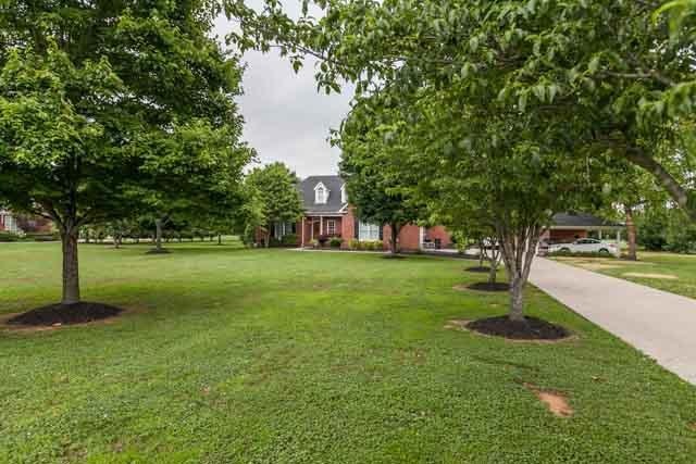 Gorgeous tree lined driveway to greet you and your guest.