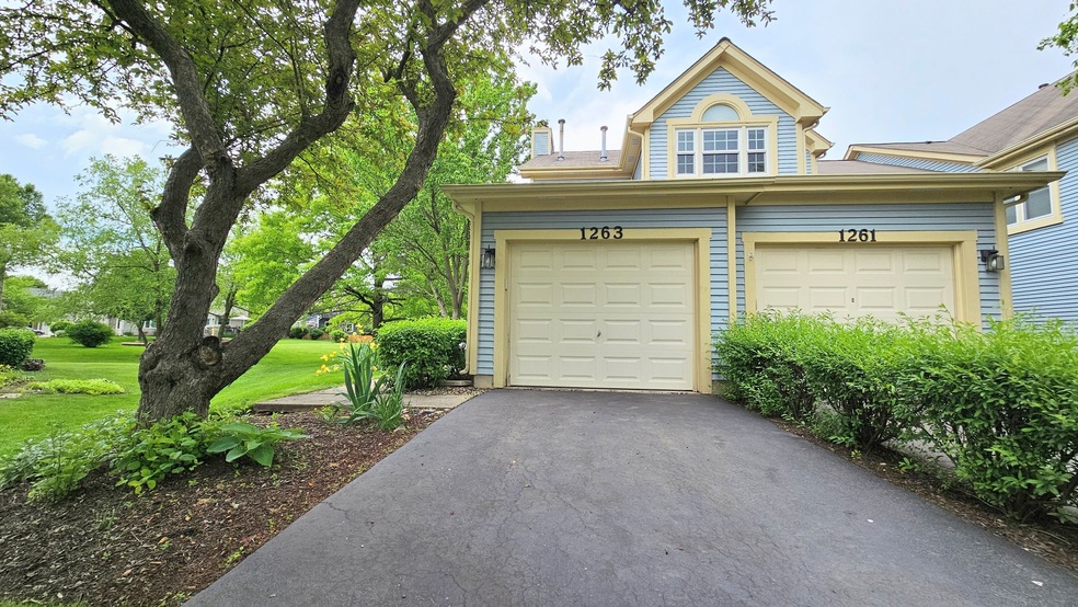 1263 Rhodes Ln unit 1201, Naperville, IL 60540 - photo 1