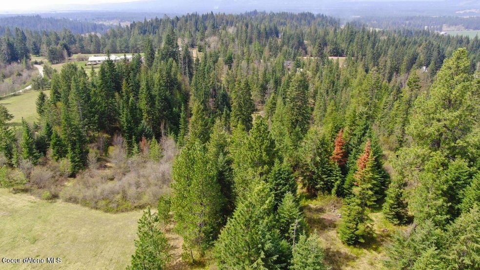 17661 N Richards Dr, Hayden, ID 83835 - photo 1