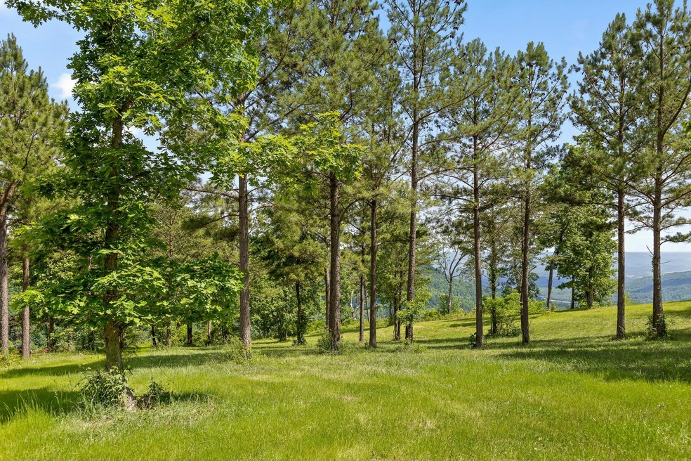 0 Sunset Cir unit 1505065, Jasper, TN 37347 - photo 1