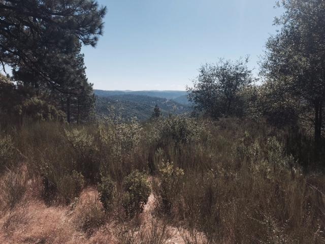 16 Light Canyon Rd, Placerville, CA 95667 - photo 1