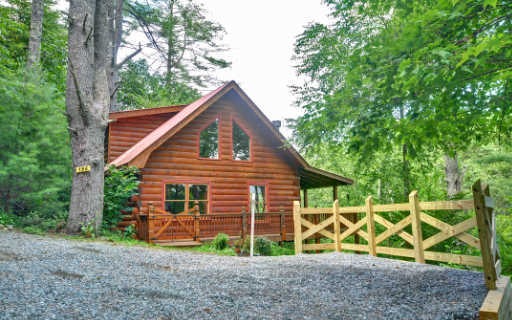 Main View