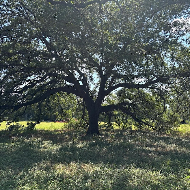 2477 W Highway 159, La Grange, TX 78945 - photo 1